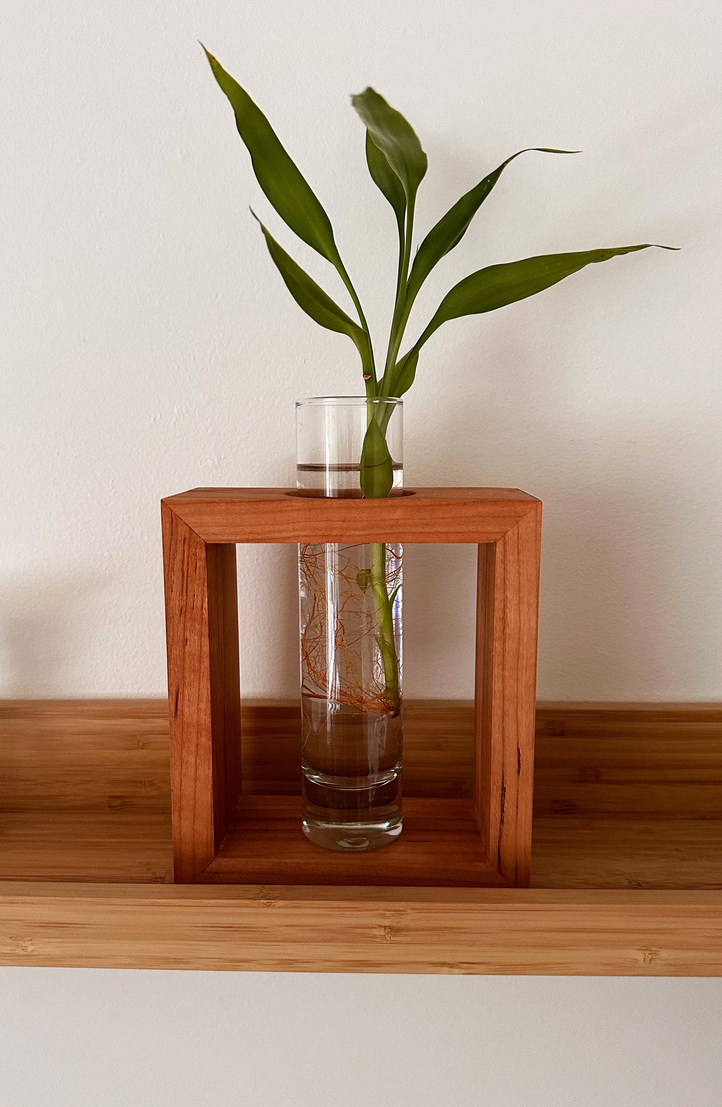 Handcrafted Solid Wood Bud Vase Propagation Station