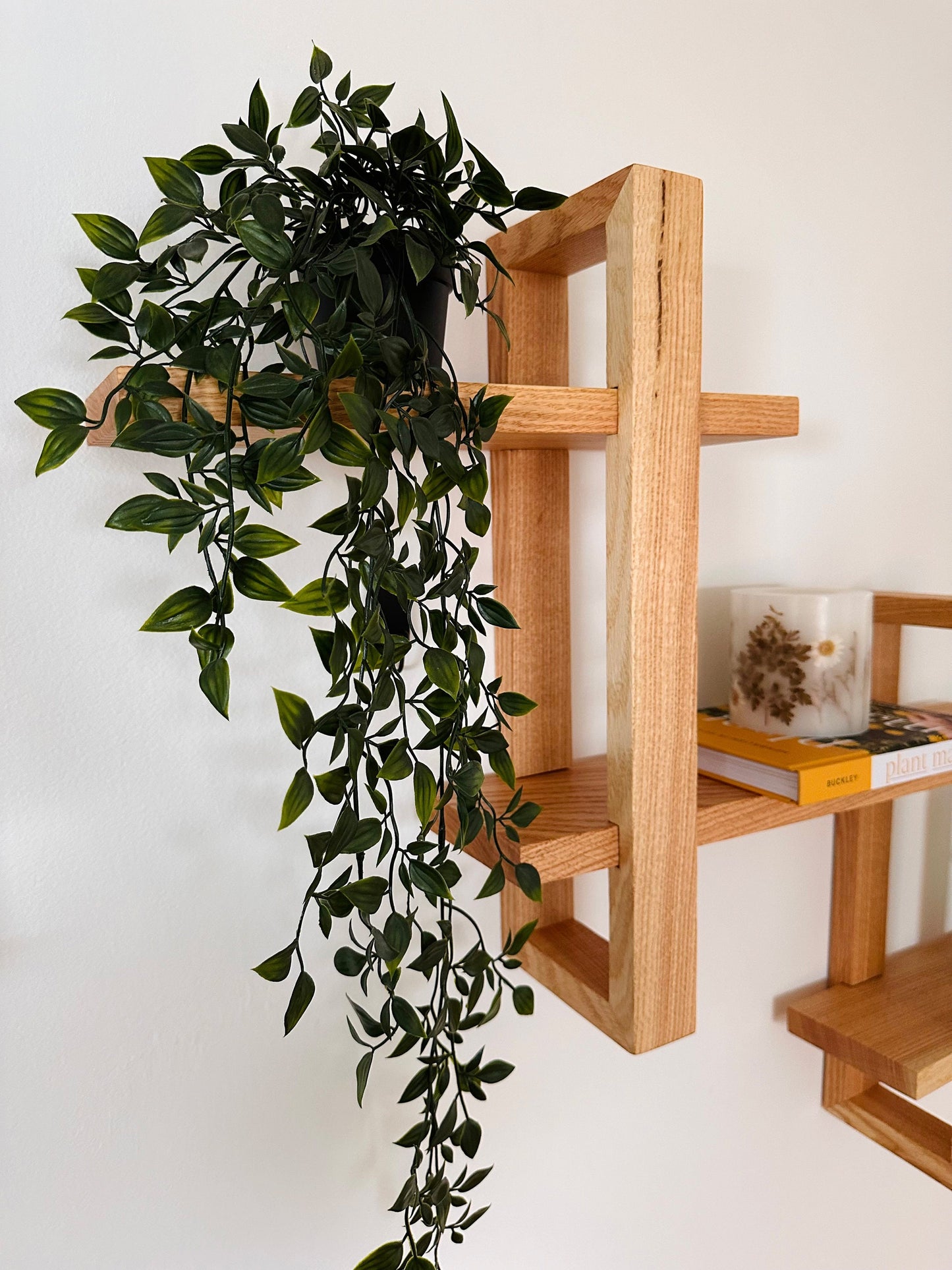 Solid Wood Floating Wall Shelf for Plants, Books, and Photos