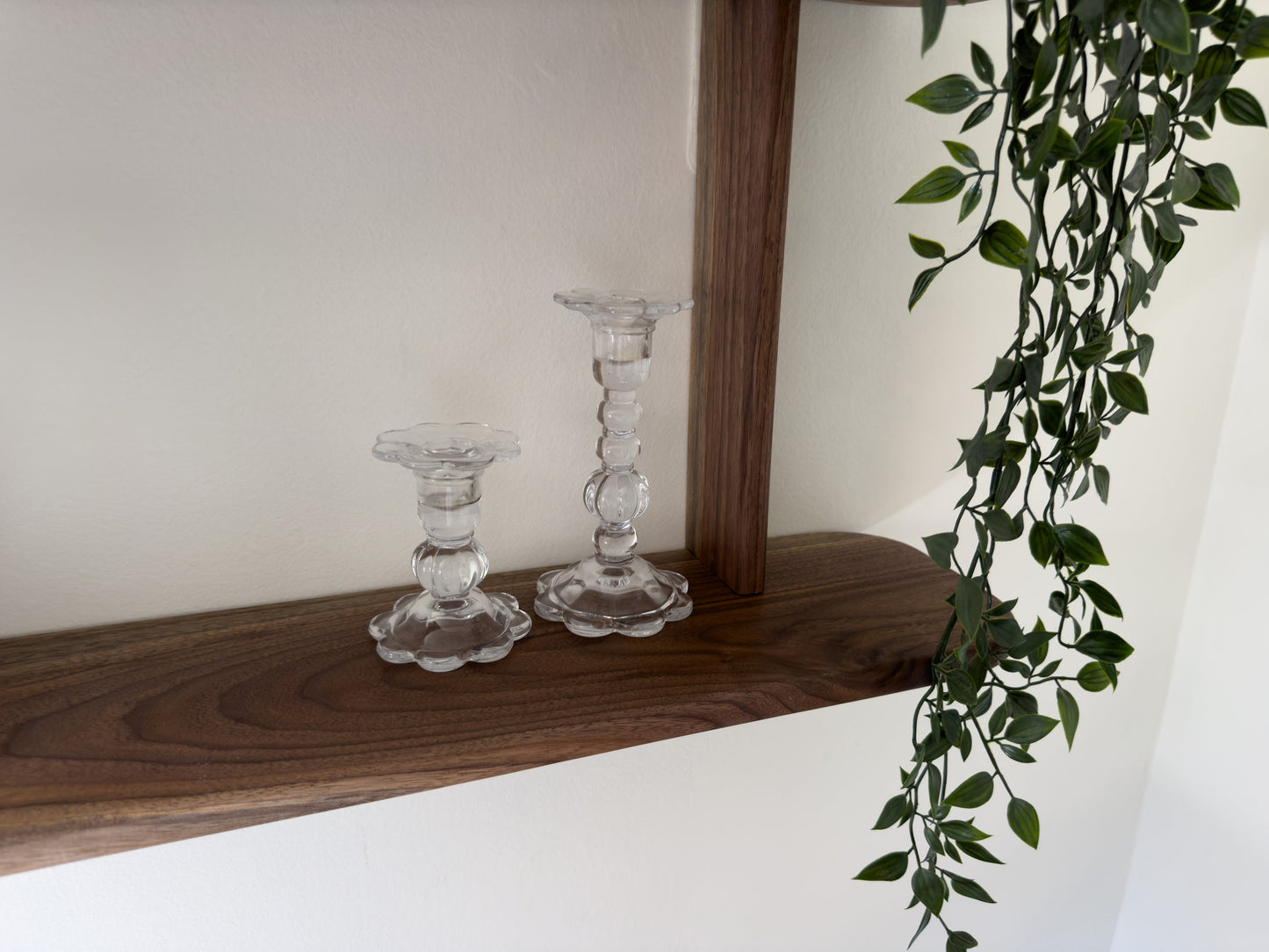 Solid Walnut Floating 2 Tier Wall Shelf for Plants, Books, and Photos.