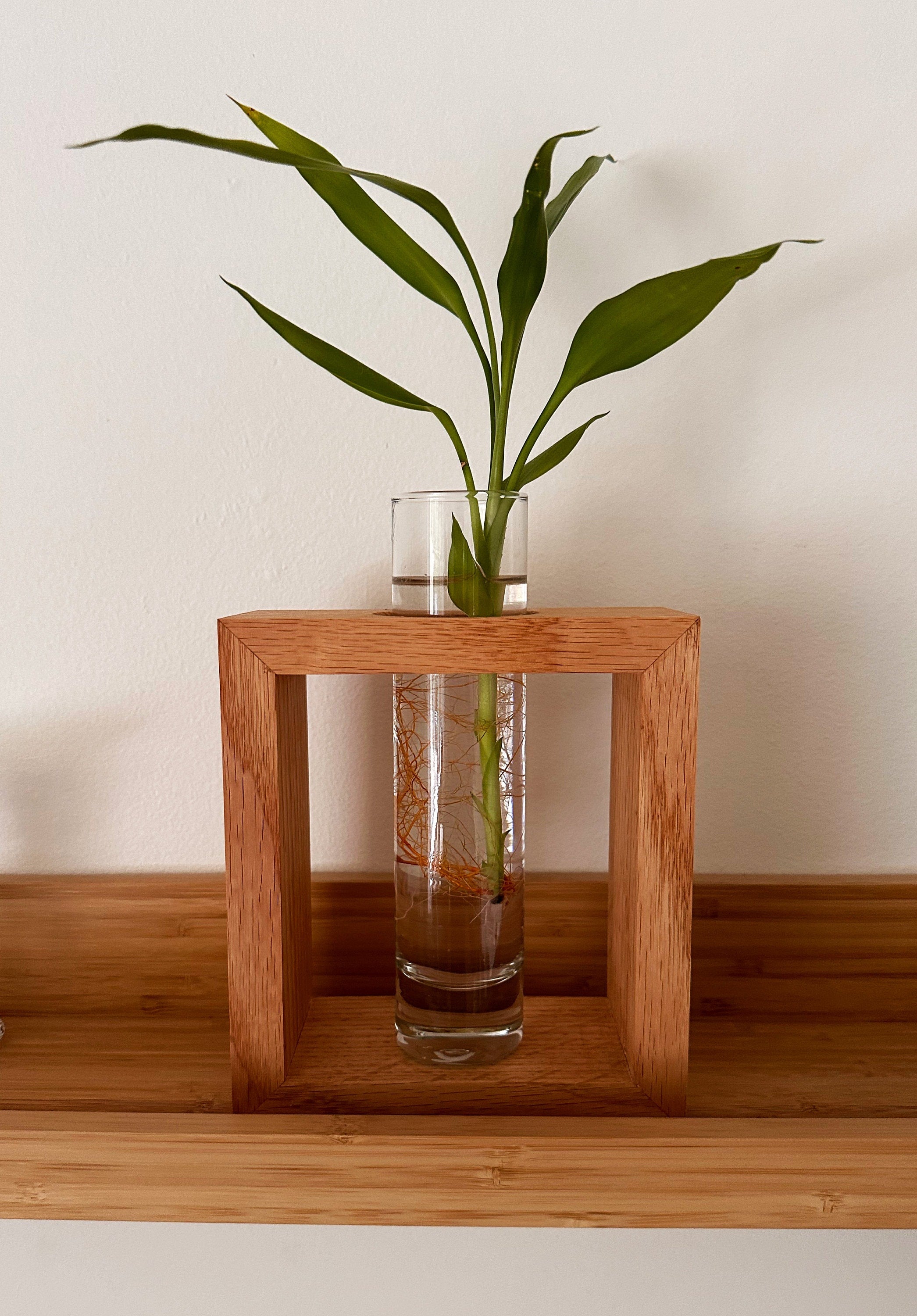 Handmade Wood Propagation Station