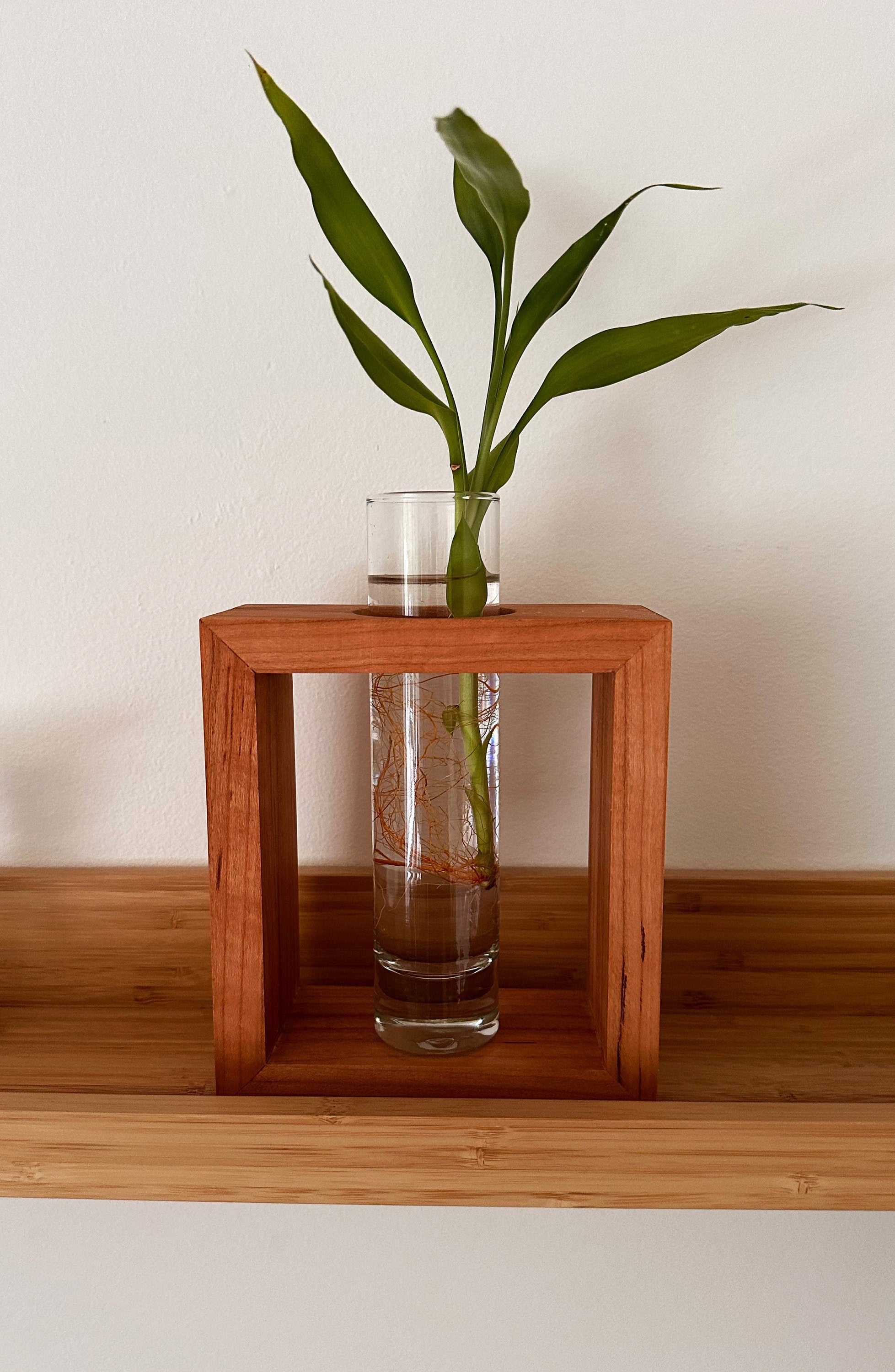 Handmade Wood Propagation Station